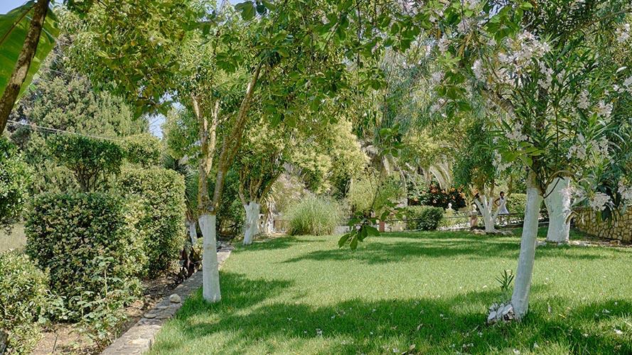 Villa Danai 아기오스 게오르기오스 파곤 외부 사진